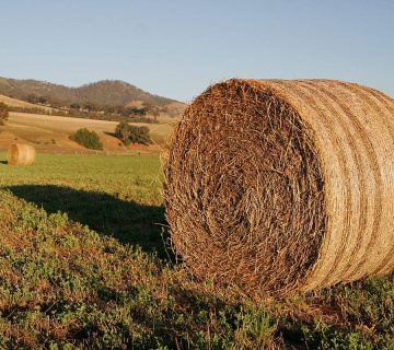 Município do Fundão disponibiliza alimentação animal para agricultores afetados